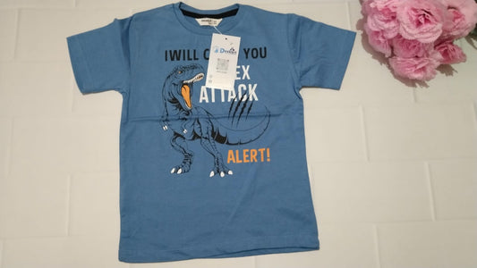 DKIDSP14- BOYS T SHIRT