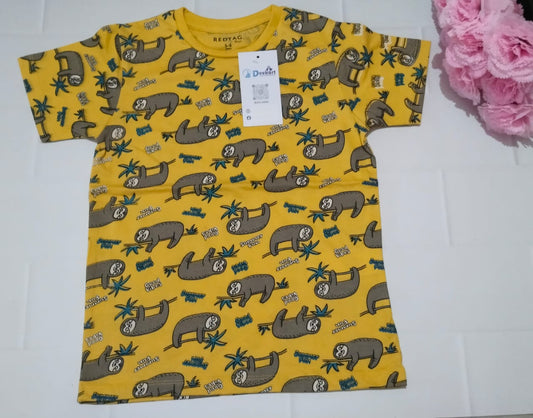 DKIDSP19- BOYS T SHIRT