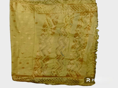 CHST3- Chanderi silk suit